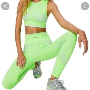 TNA Ventura NEON Paradise ORIGINAL